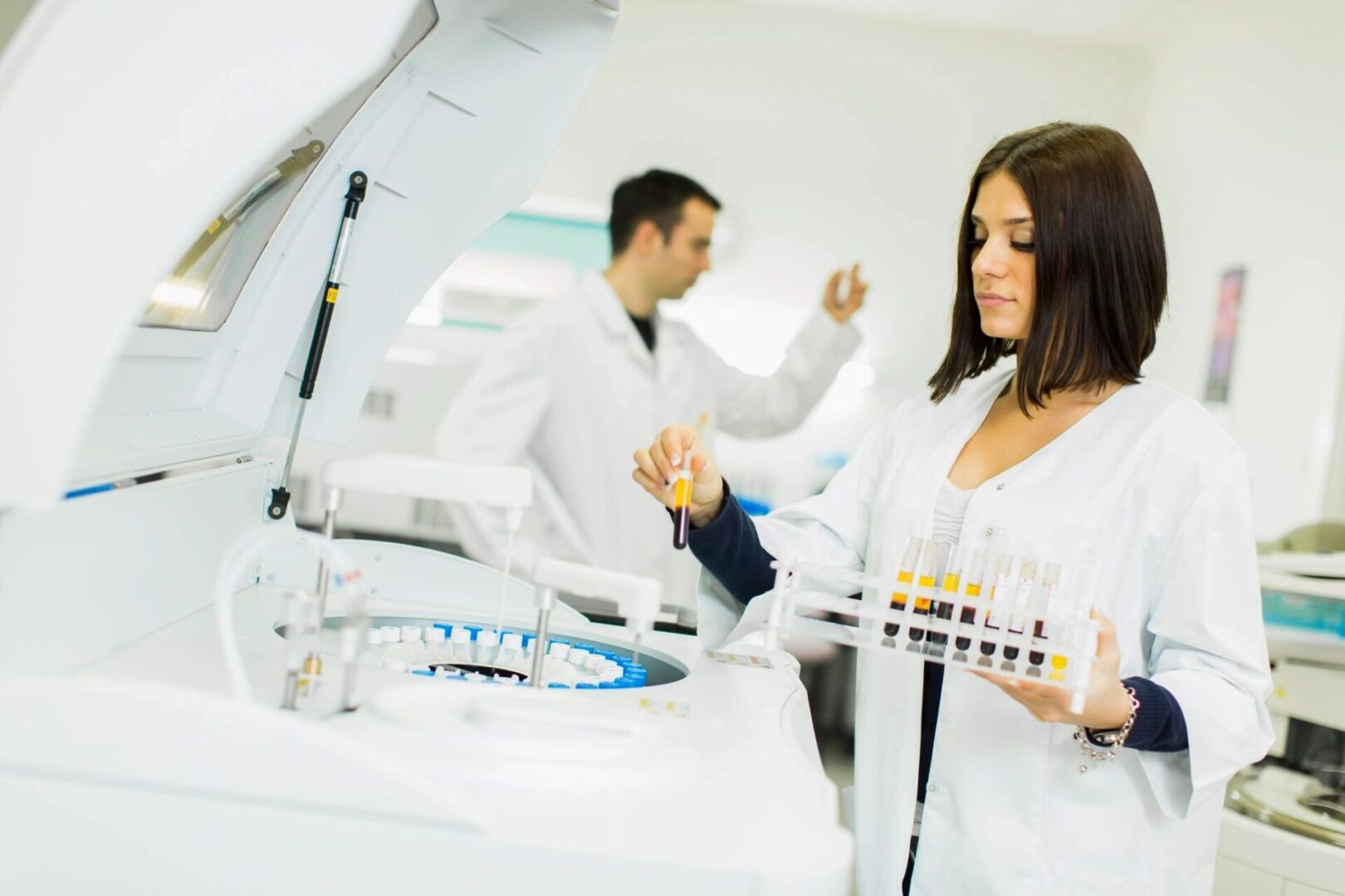 doctor checking blood samples doctor checking blood samples